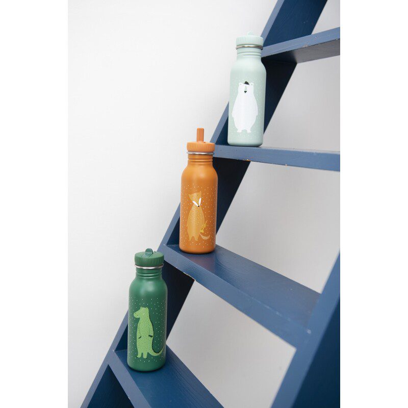 Botella Acero Trixie Mr. Cocodrilo 350ml - Imagen 4
